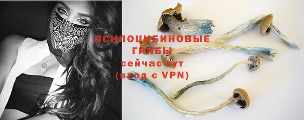 соль ск Белокуриха