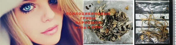 шишки Белоозёрский