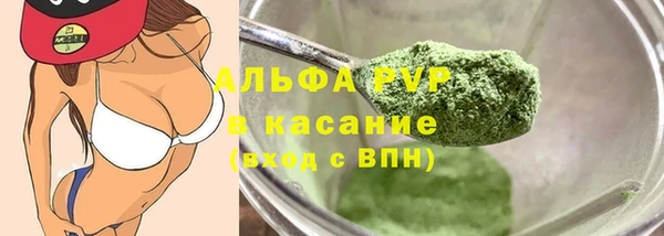 шишки Белоозёрский