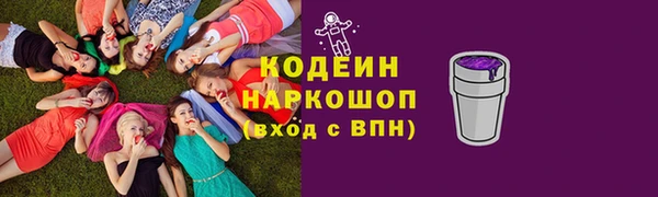 шишки Белоозёрский