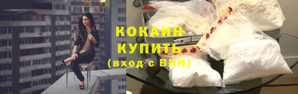 соль ск Белокуриха