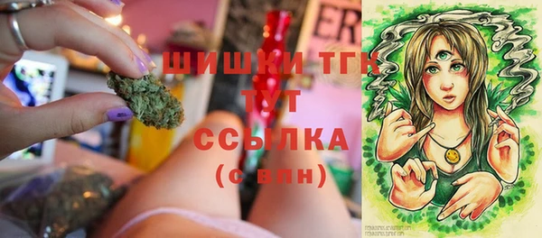 соль ск Белокуриха