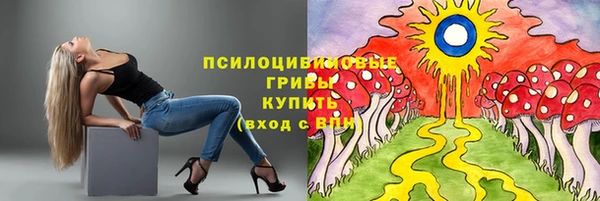 шишки Белоозёрский